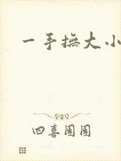 一手抚大小说