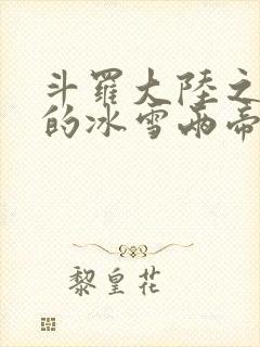 斗罗大陆之涅荡的冰雪两帝封面