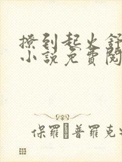 撩到起火舒漾的小说免费阅读全文