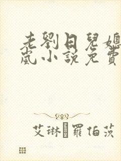 老刘日儿媳妇张岚小说免费阅读