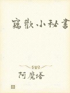 窃欢小秘书