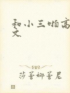 和小三啪高辣h文