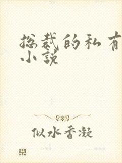 总裁的私有宝贝小说