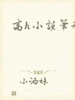 高h小说笔趣阁封面