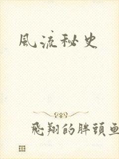 风流秘史封面