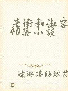 老卫和淑容1-40集小说封面