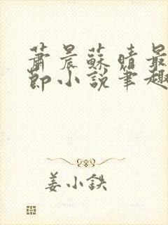 萧晨苏晴最新章节小说笔趣阁