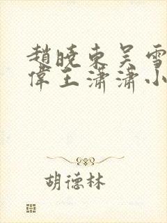 赵晓东吴雪晴郑伟王潇潇小说