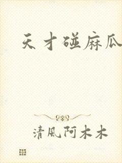 天才碰麻瓜封面