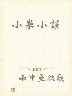 小米小说