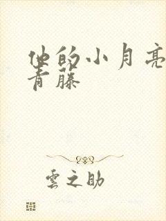 他的小月亮by青藤封面