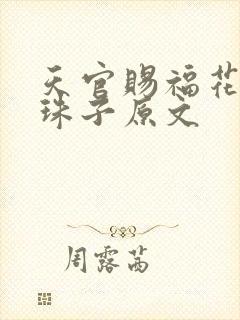 天官赐福花怜塞珠子原文封面