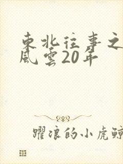 东北往事之黑道风云20年