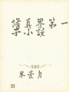 修真界第一病秧子小说