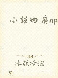 小说肉糜np