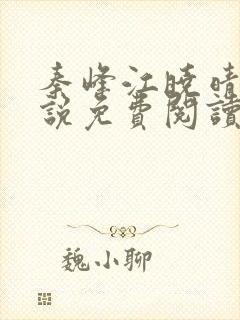 秦峰江晓晴的小说免费阅读