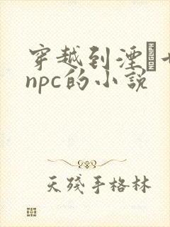 穿越到湮婸世界npc的小说