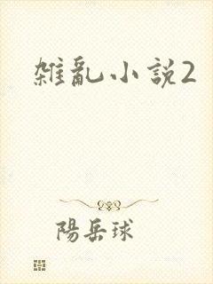 杂乱小说2
