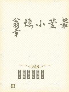 翁熄小莹最新节章