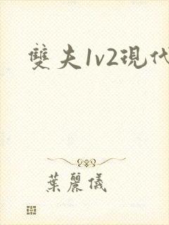 双夫1v2现代封面