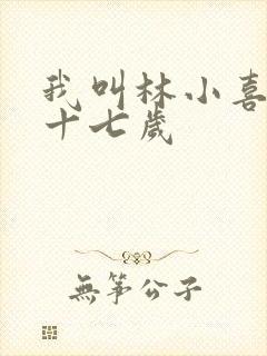 我叫林小喜今年十七岁封面