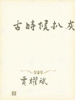 古时候扒灰小说封面