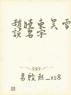 赵晓东吴雪晴小说名字