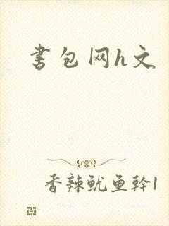 书包网h文