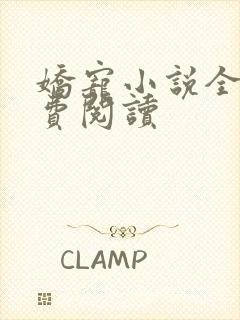 娇宠小说全文免费阅读