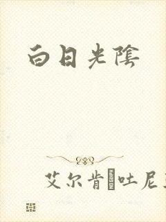 白日光阴封面