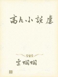 高h小说虐