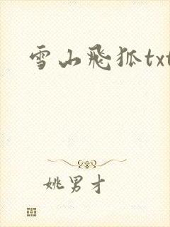 雪山飞狐txt