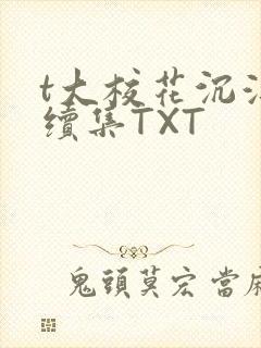 t大校花沉浮录续集TXT