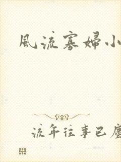 风流寡妇小说封面