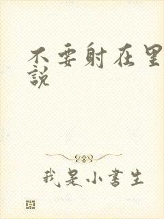 不要射在里面小说