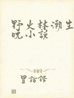 野火林潮生林晚晚小说