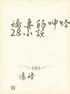 娇妻的呻吟1—28小说