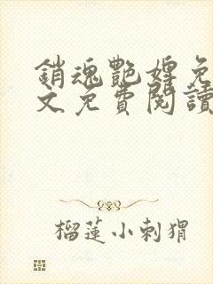 销魂艳婢免费全文免费阅读封面