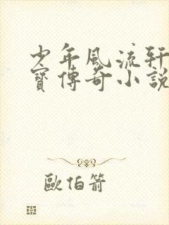 少年风流轩辕大宝传奇小说