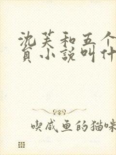 沈芙和五个消防员小说叫什么