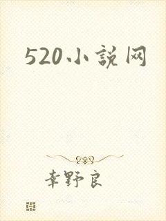 520小说网