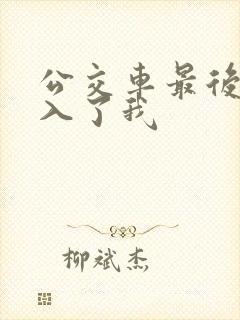 公交车最后一排入了我