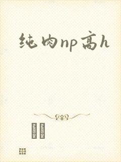 纯肉np高h