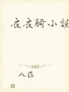 夜夜骑小说