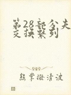 第28部分夫妇交换系列封面