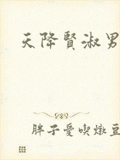 天降贤淑男小说
