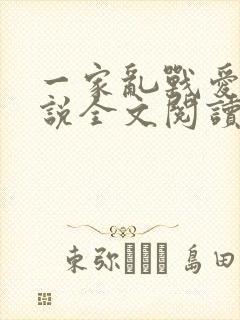 一家乱战爱莲小说全文阅读封面