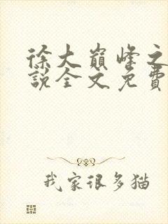 徐大巅峰之路小说全文免费阅读