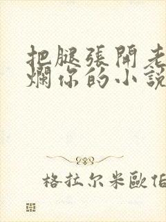 把腿张开老子臊烂你的小说