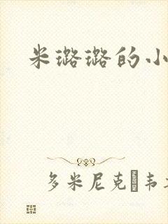 米璐璐的小说